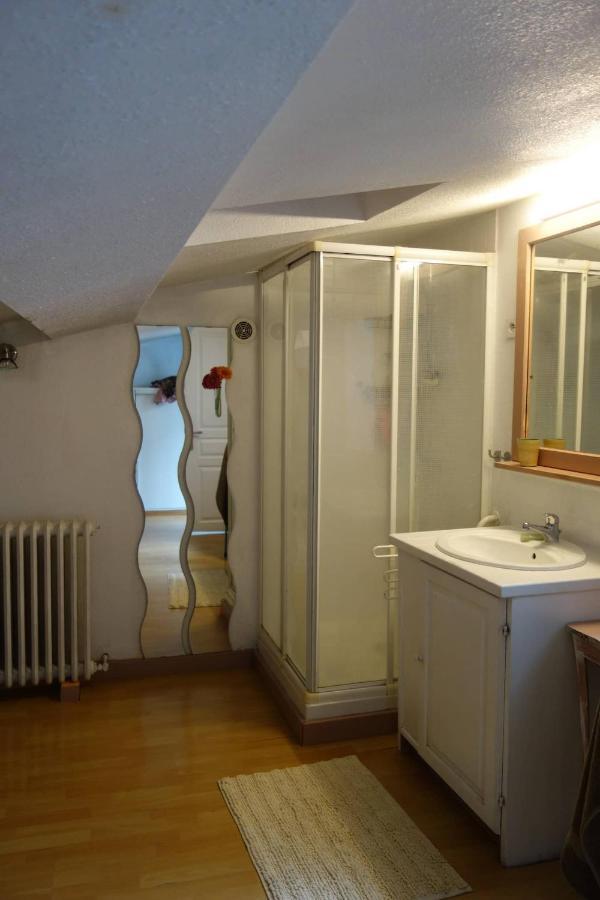 Le Puy-en-Velay Bel Appartement Au Coeur Du Puy En Velay מראה חיצוני תמונה
